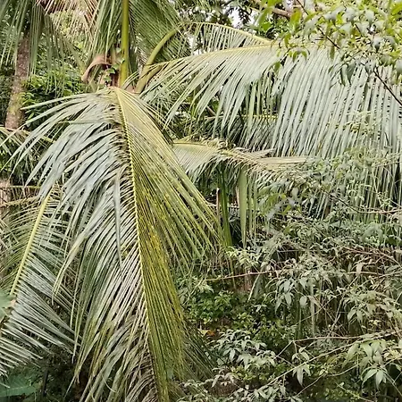 Kumara Villa Hikkaduwa Exterior photo