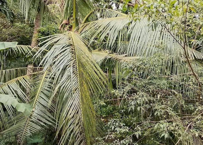 Kumara Villa